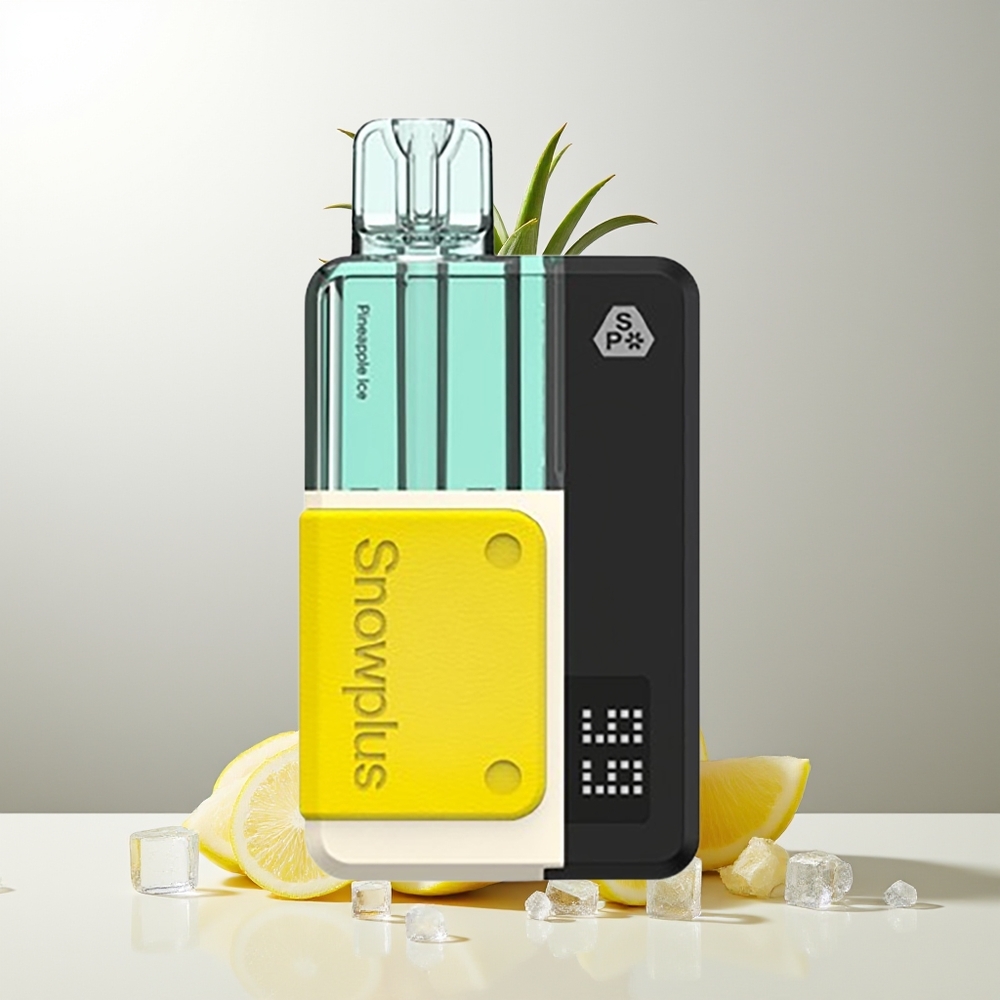 Snowplus Swift 5000 Züge Ananas Eis Dual Mesh 1000mAh 2+10ml 2% Kit