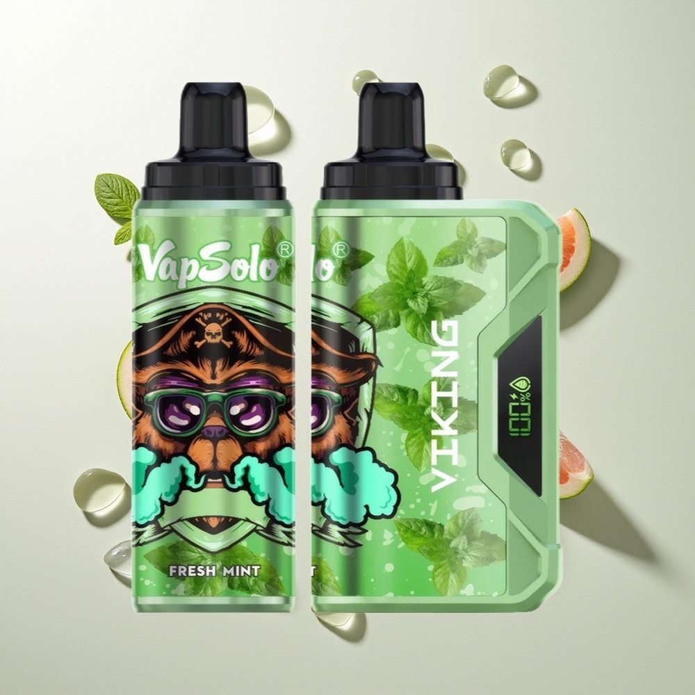 VapSolo VIKING 12000 Puffs Frische Minze Typ-C LED 22ml