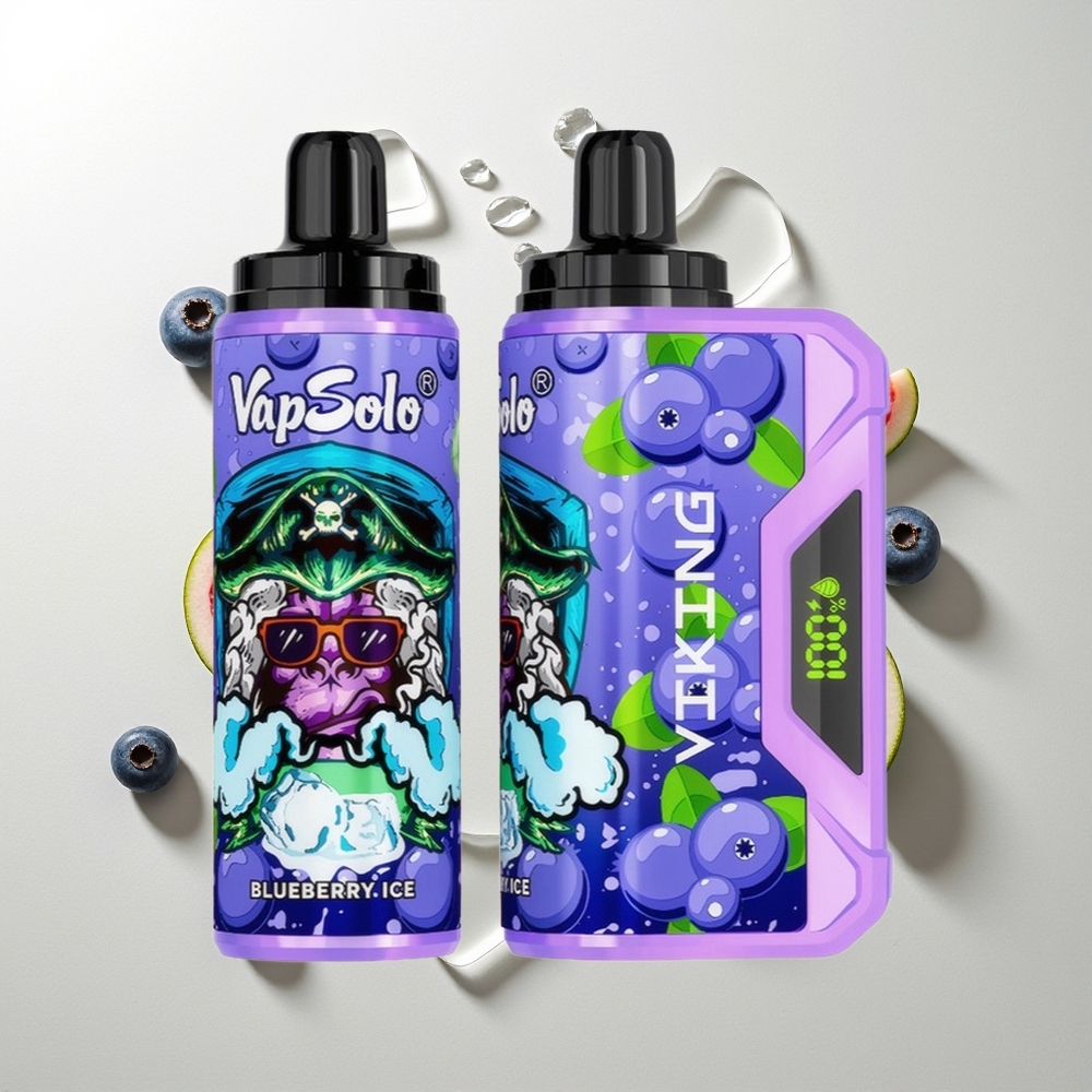 VapSolo VIKING 12000 Züge Blaubeere Typ-C & LED-Display