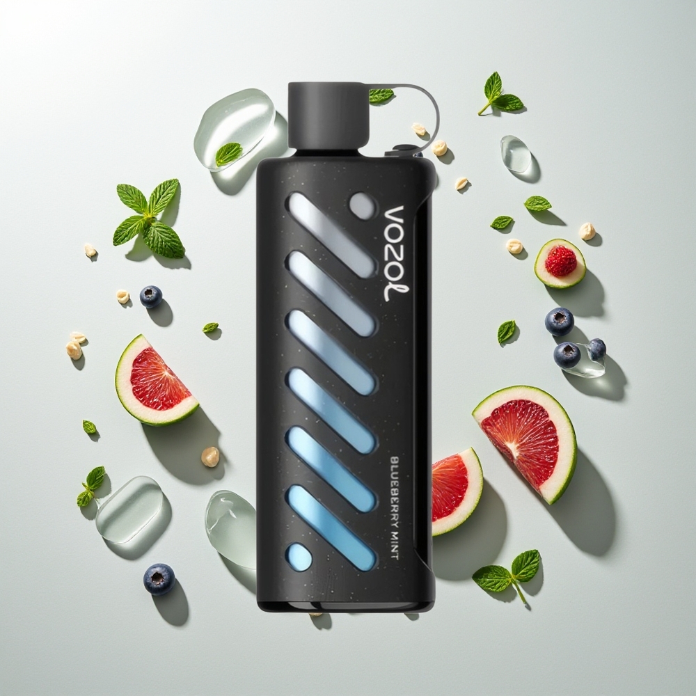 VOZOL Gear Shisha 25000 Züge Blaubeere Minze S.i.L.C Tech Dual Mesh 1000mAh 5mg/ml