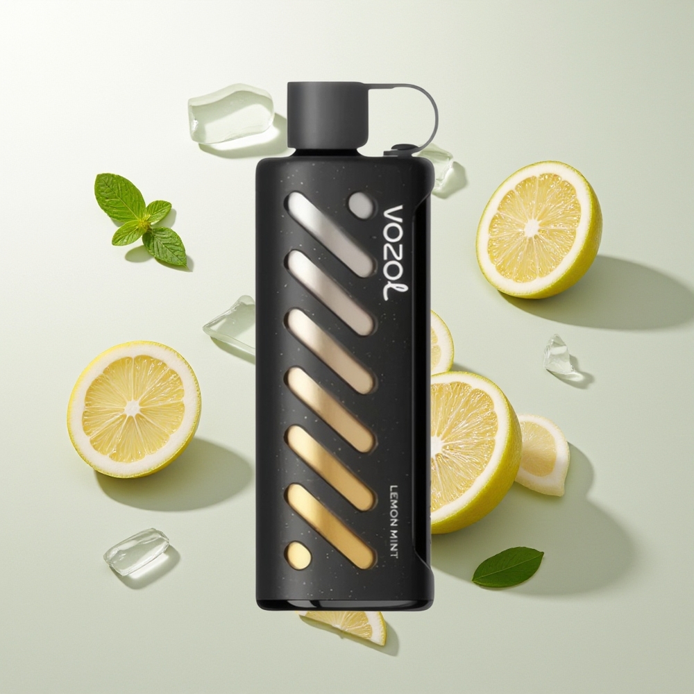 VOZOL Gear Shisha 25000 Züge Zitrone Minze Shisha Dual Mesh S.i.L.C Tech 1000mAh 5mg/ml