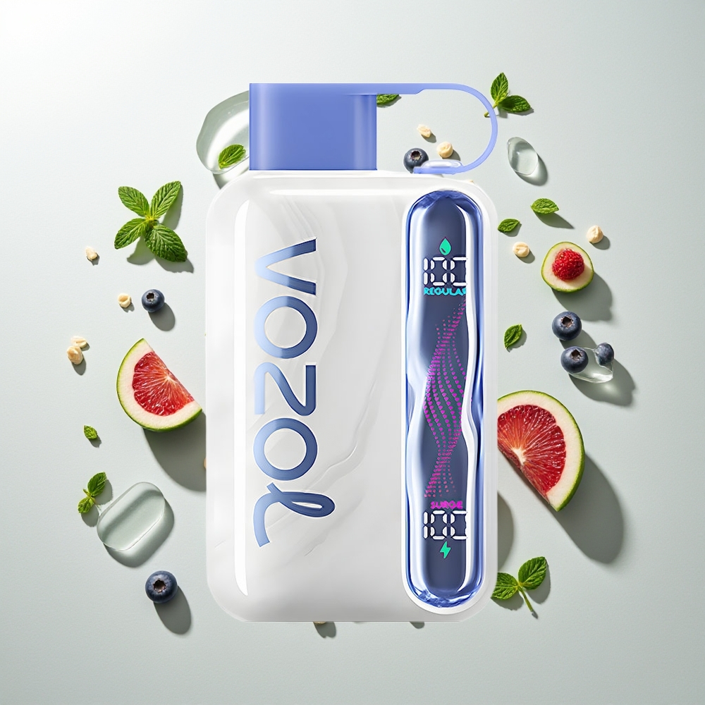 VOZOL STAR 40000 Züge Heidelbeer-Minze 1000mAh Typ-C 20/50mg/ml
