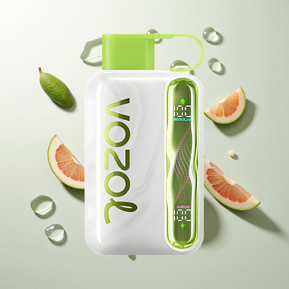 VOZOL STAR 40000 Züge Kühle Minze 1000mAh Typ-C 20/50mg/ml