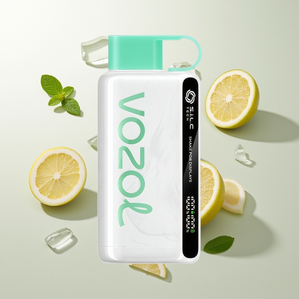 VOZOL STAR 9000/12000 Einweg-Vape Zitrone Minze mit S.i.L.C TECH, 650mAh Akku und 30% schnellerem Laden