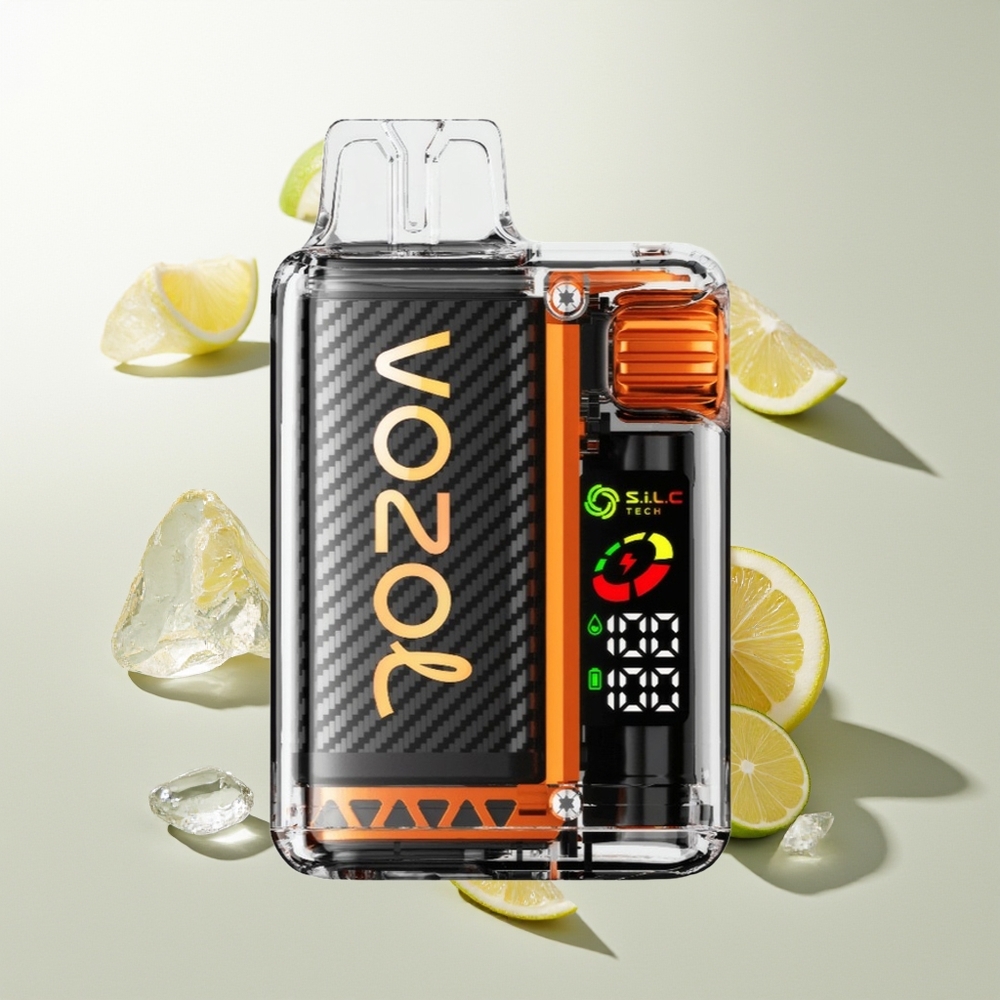 VOZOL Vista 20000 Züge Zitrone Limette Recycelbar Doppel-Mesh OLED MCU 6-Stufen MTL