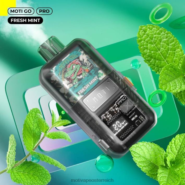 MOTI Go Pro Einweg-Vaporizer (5 %, 12.000 Züge) frische Minze TN2TZ16 MOTI Vape Kaufen