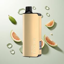 Alibarbar Ingot 9000 Züge Kühle Minze 22ml 2350mAh LED Display