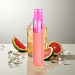 Snowplus Dash 4000 Züge Hibiskus Eistee Keramik 530mAh 7,5ml